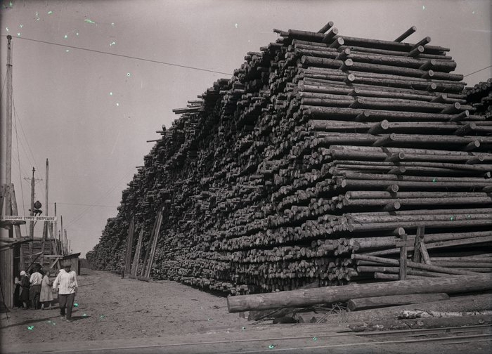 Штабель древесины на лесной бирже. 4 августа 1932 год.