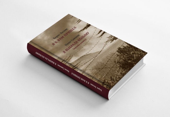 Обложка книги Б.Н. Лесняка и Н.В. Савоевой 