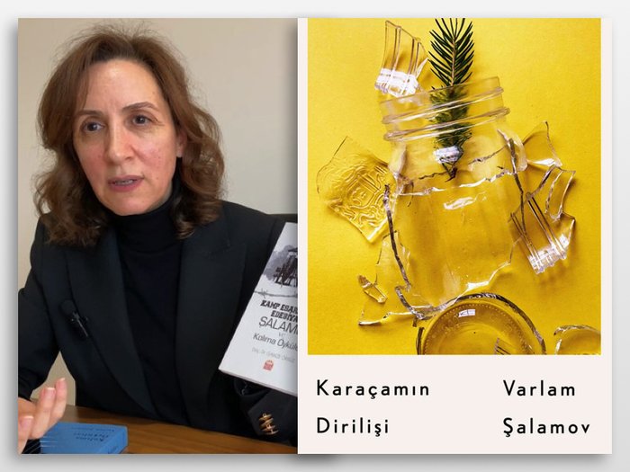 Гамзе Оксюз и обложка книги 