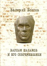 В. Есипов «Варлам Шаламов и его современники» (обложка)