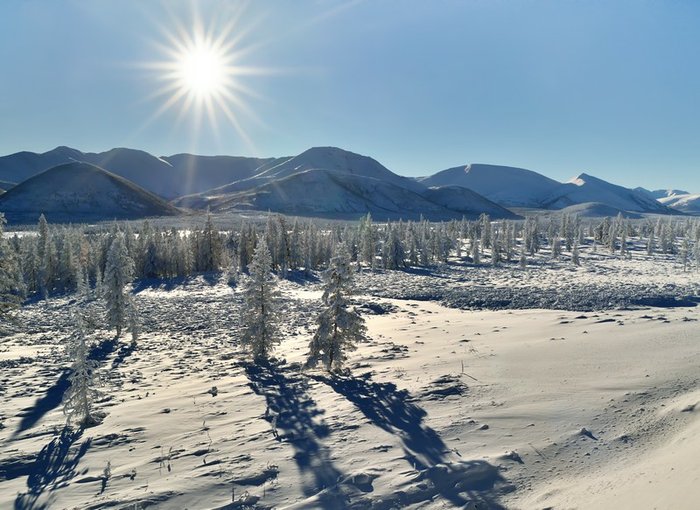 Зимнее солнце, Оймякон. Фото: Спиридон Слепцов